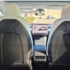 Carbon Fiber Seat Back Covers for Tesla Model 3/Y